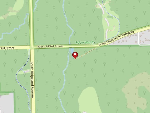 Photo of Bachelor's Grove Cemetery