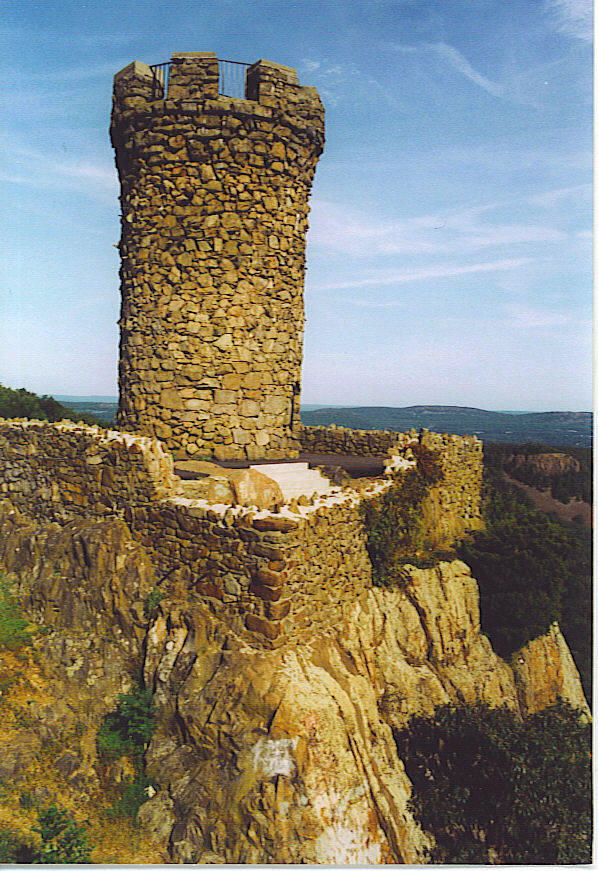 Photo of The Black Dog of the Hanging Hills