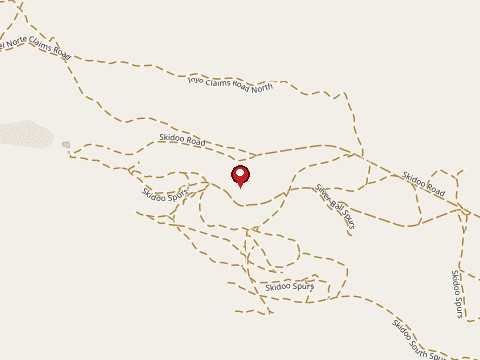 Photo of Skidoo