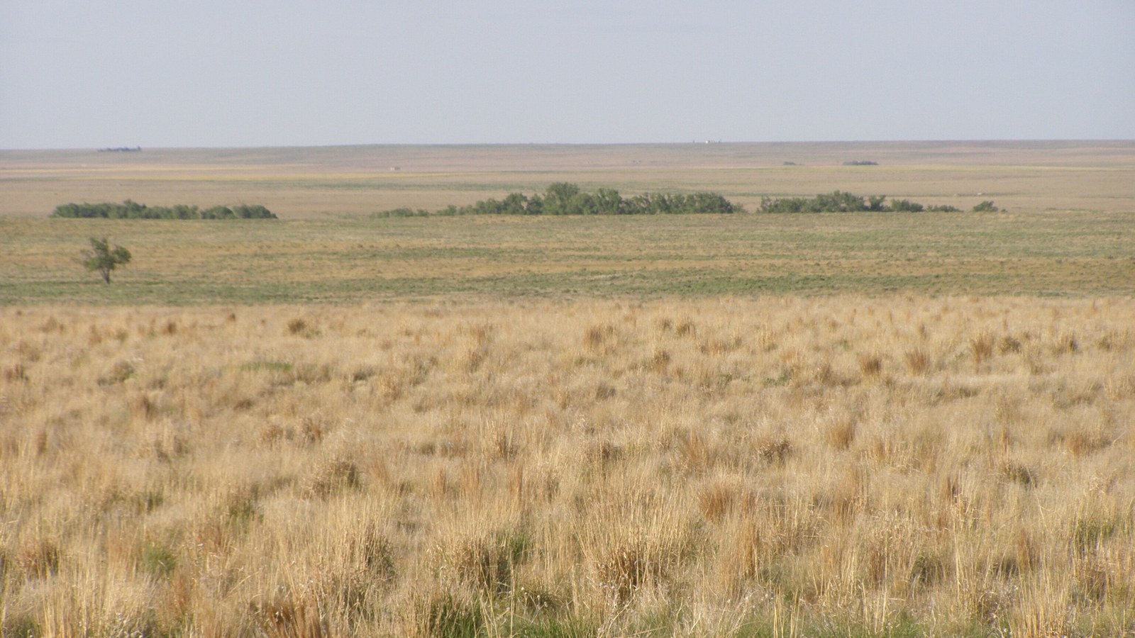 Photo of Sand Creek