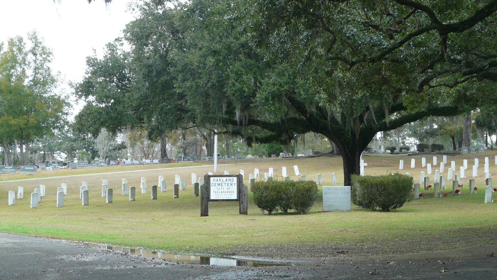 Photo of Oakland Cemetery
