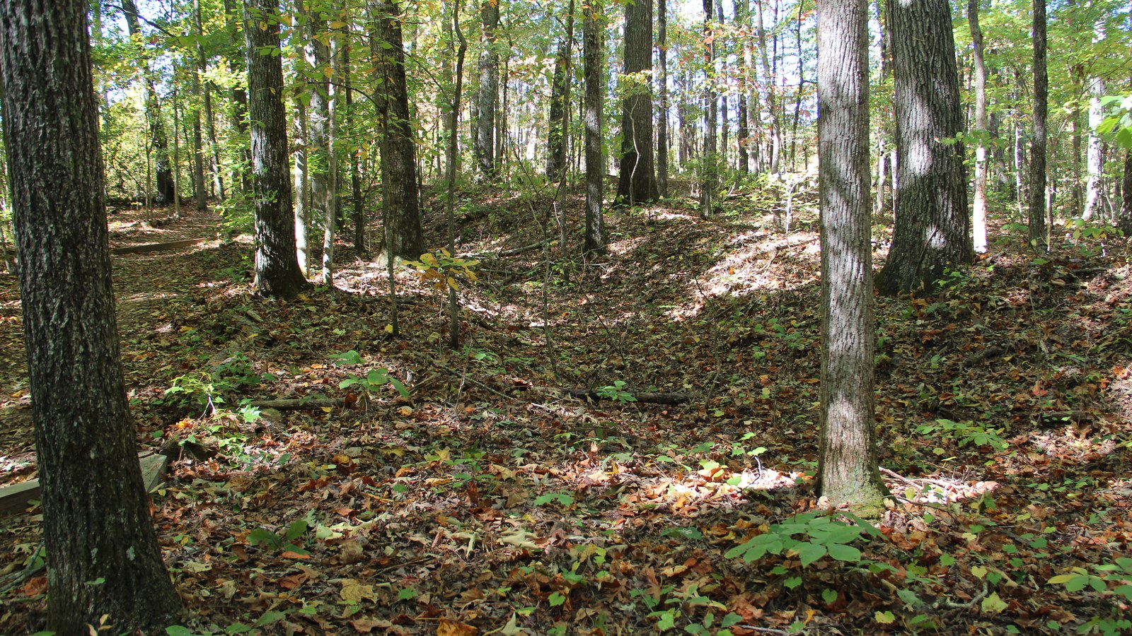 Photo of Pickett's Mill