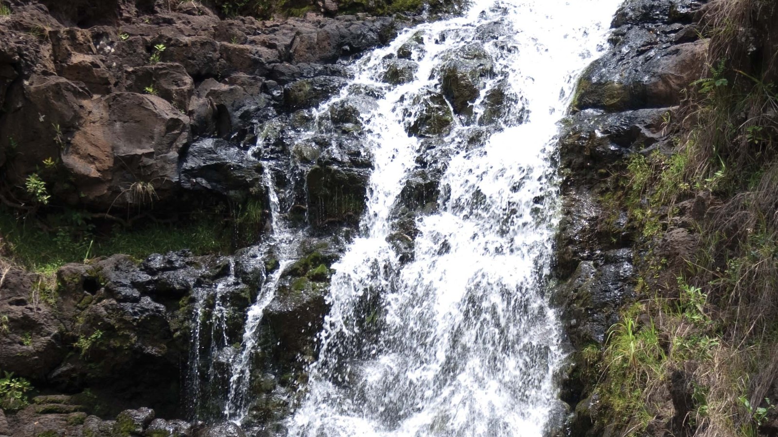 Photo of The Drowning Pool, Waimea Falls Park (Oahu)