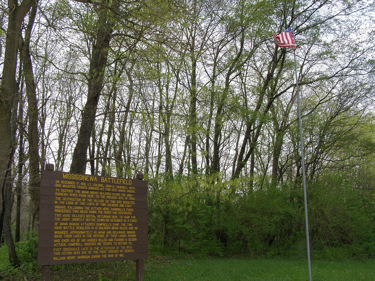Photo of Mississinewa Battlefield