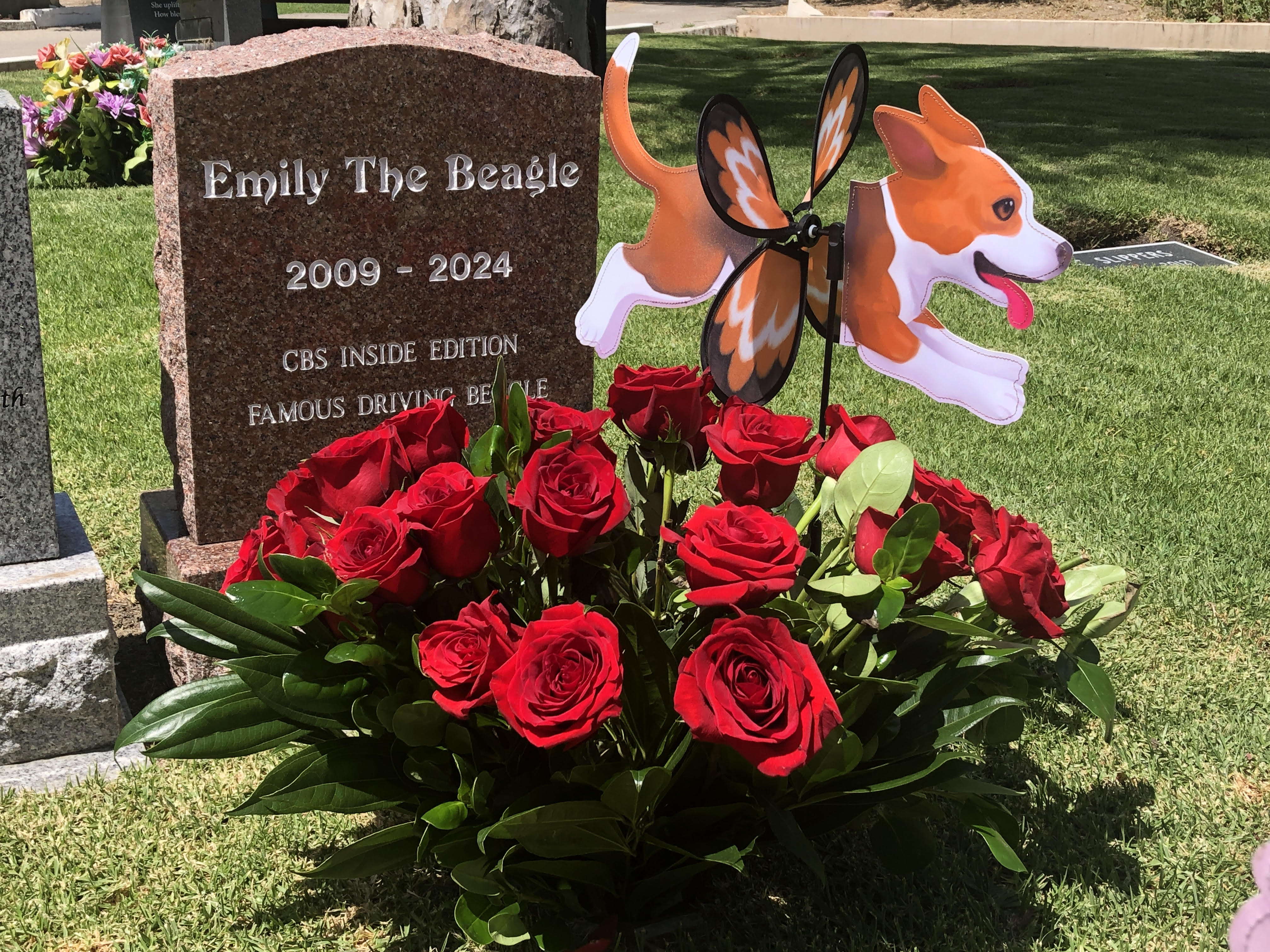 Photo of Los Angeles Pet Cemetery