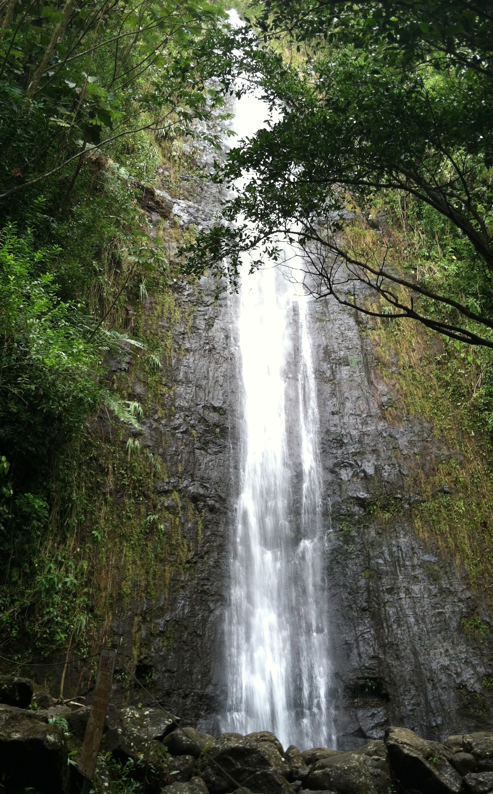 Photo of Manoa Falls Trail
