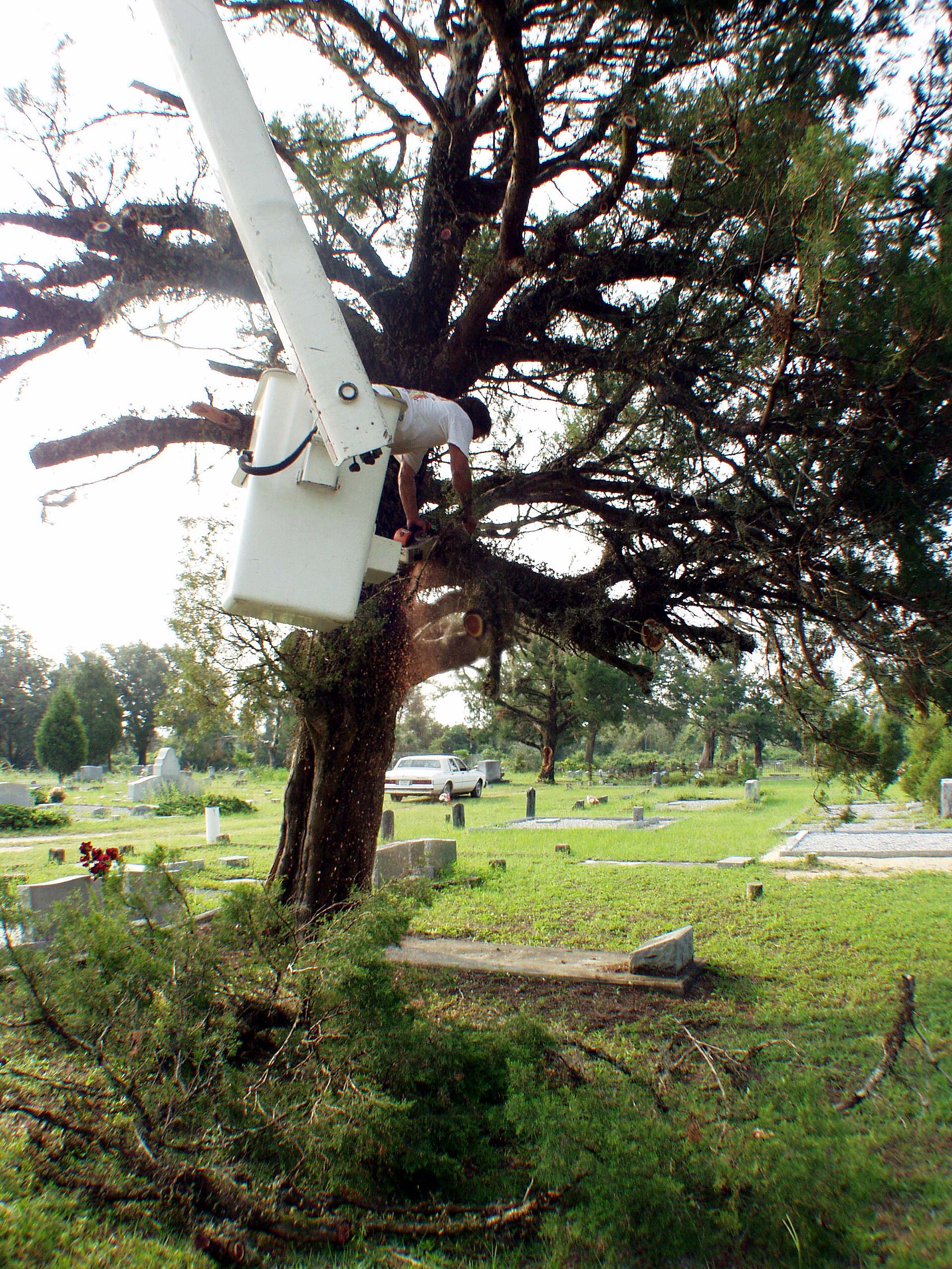 Photo of Milton Cemetery