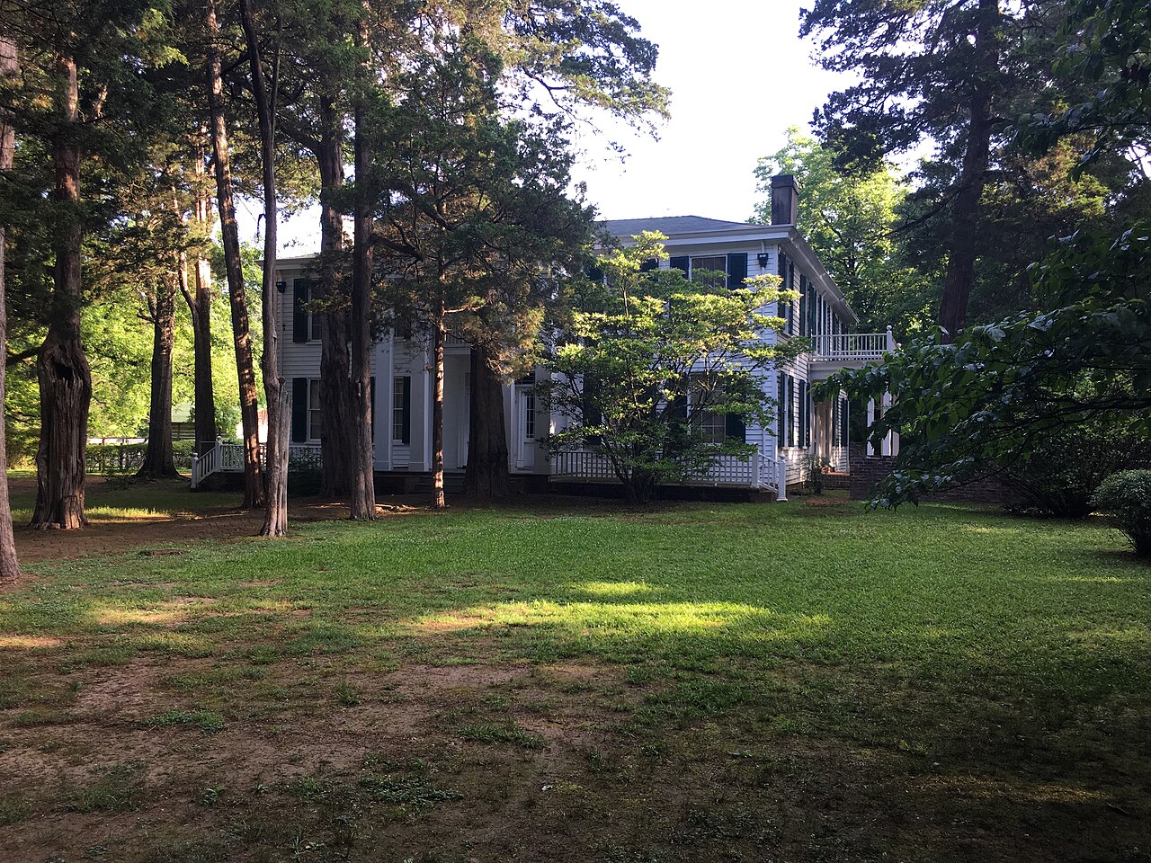 Photo of Rowan Oak