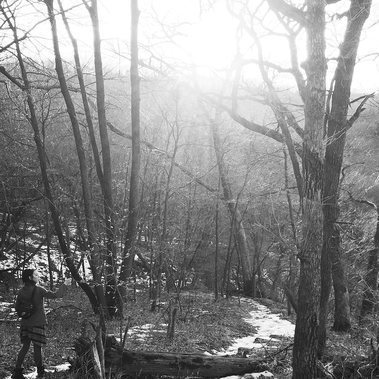 Photo of Hummel Park