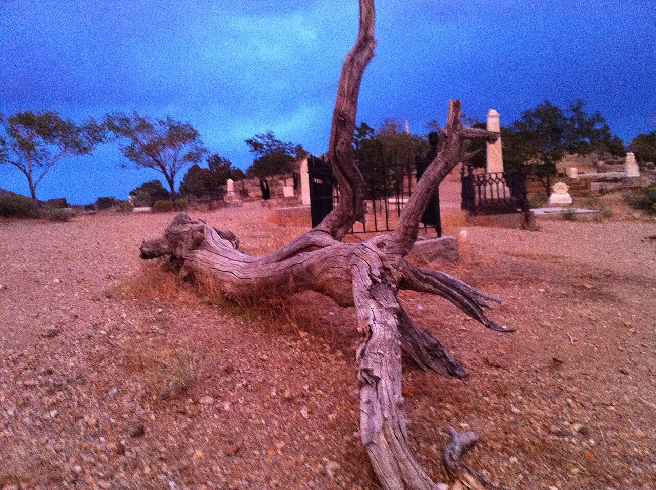 Photo of Silver Terrace Cemeteries (Virginia City)