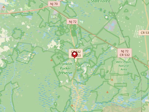 Photo of Pine Barrens (Jersey Devil)