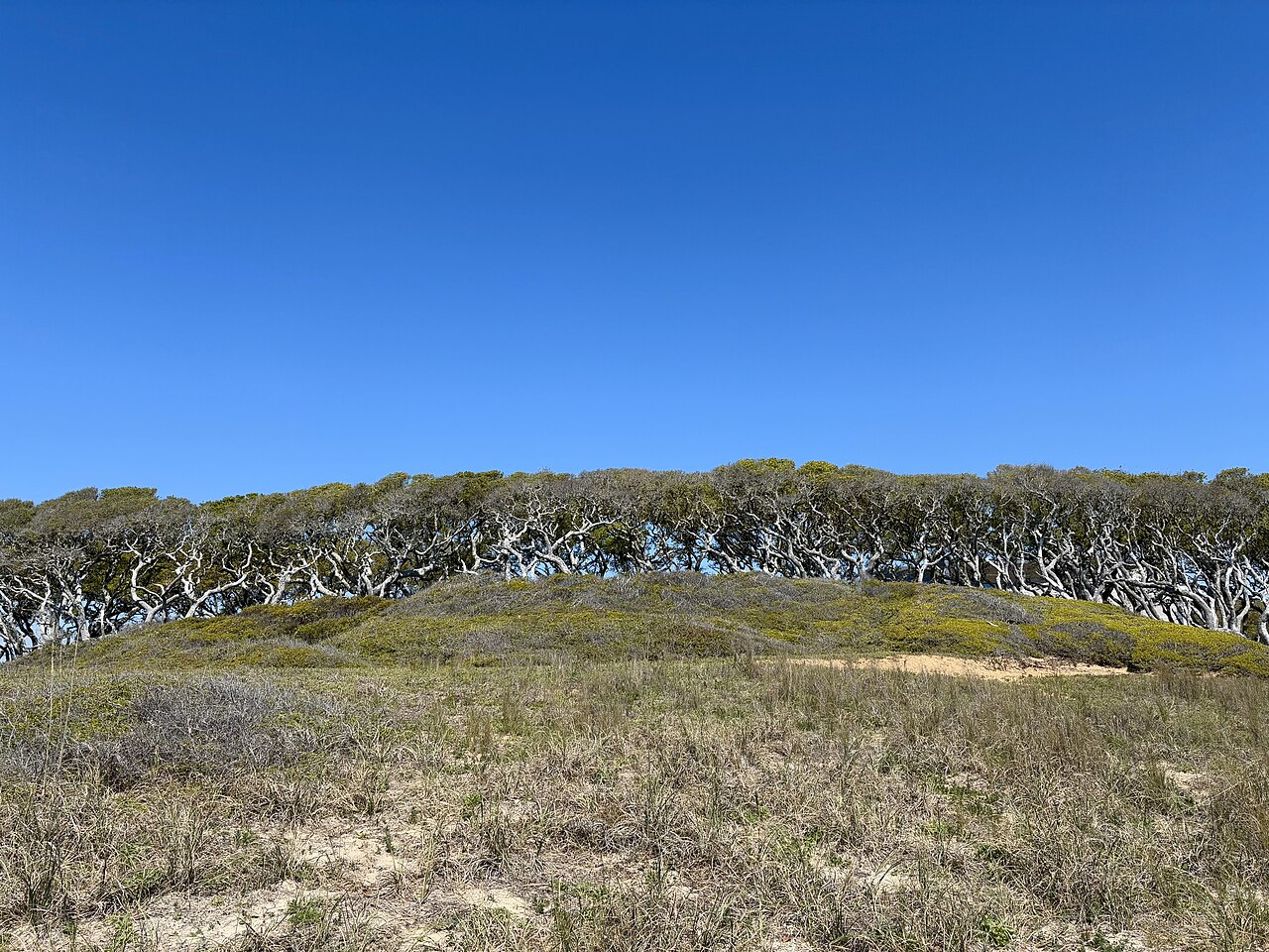 Photo of Fort Fisher State Historic Site