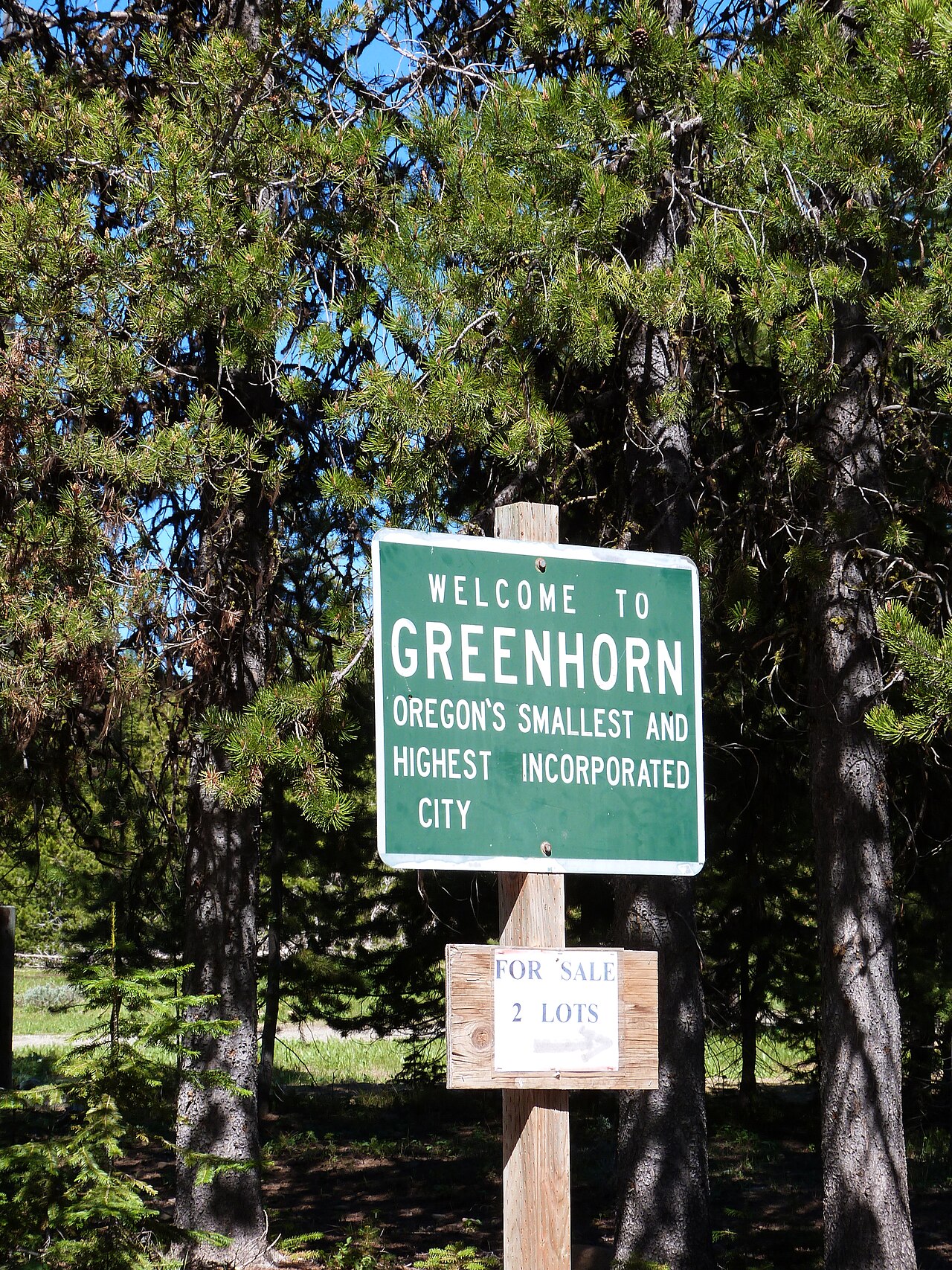 Photo of Greenhorn
