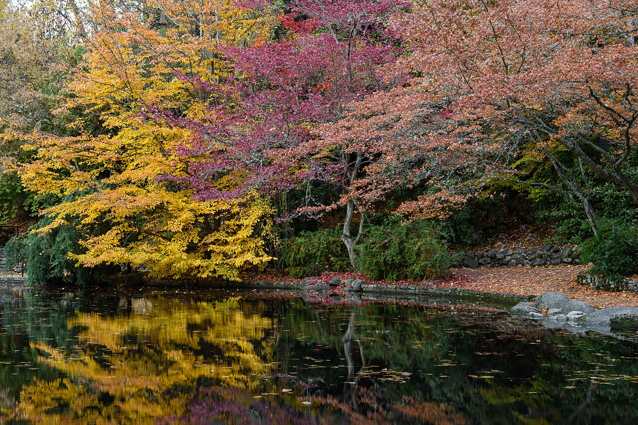 Photo of Lithia Park