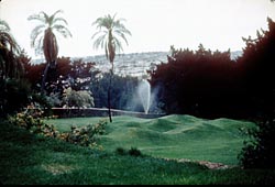 Photo of Presidio Park