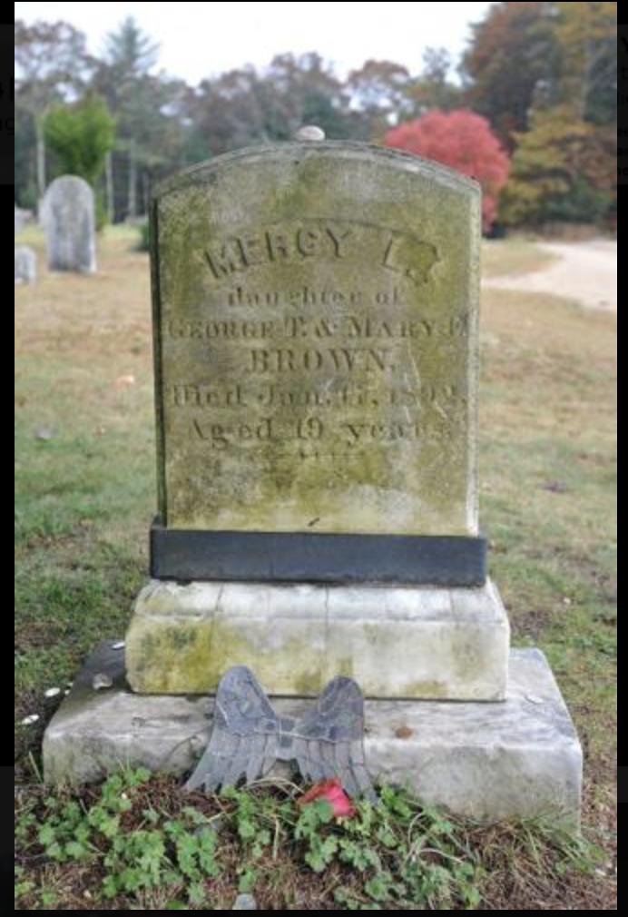 Photo of Chestnut Hill Cemetery (Mercy Brown)