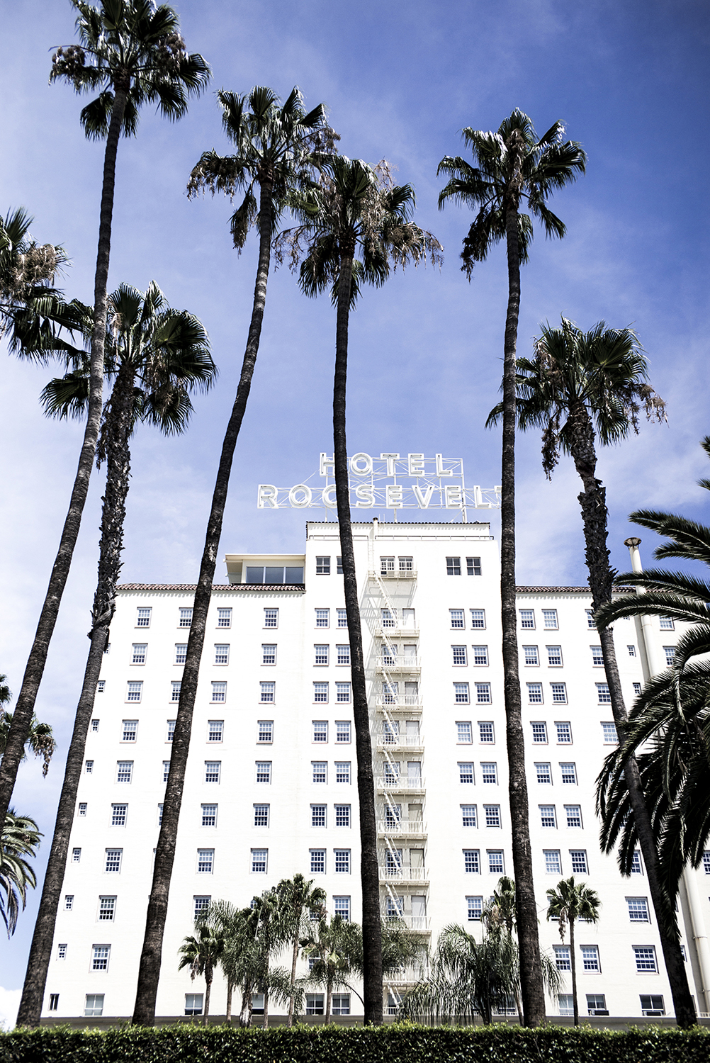 Photo of Roosevelt Hotel