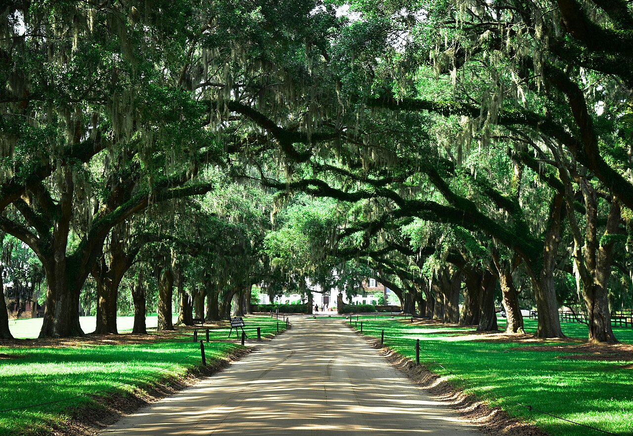Photo of Boone Hall Plantation