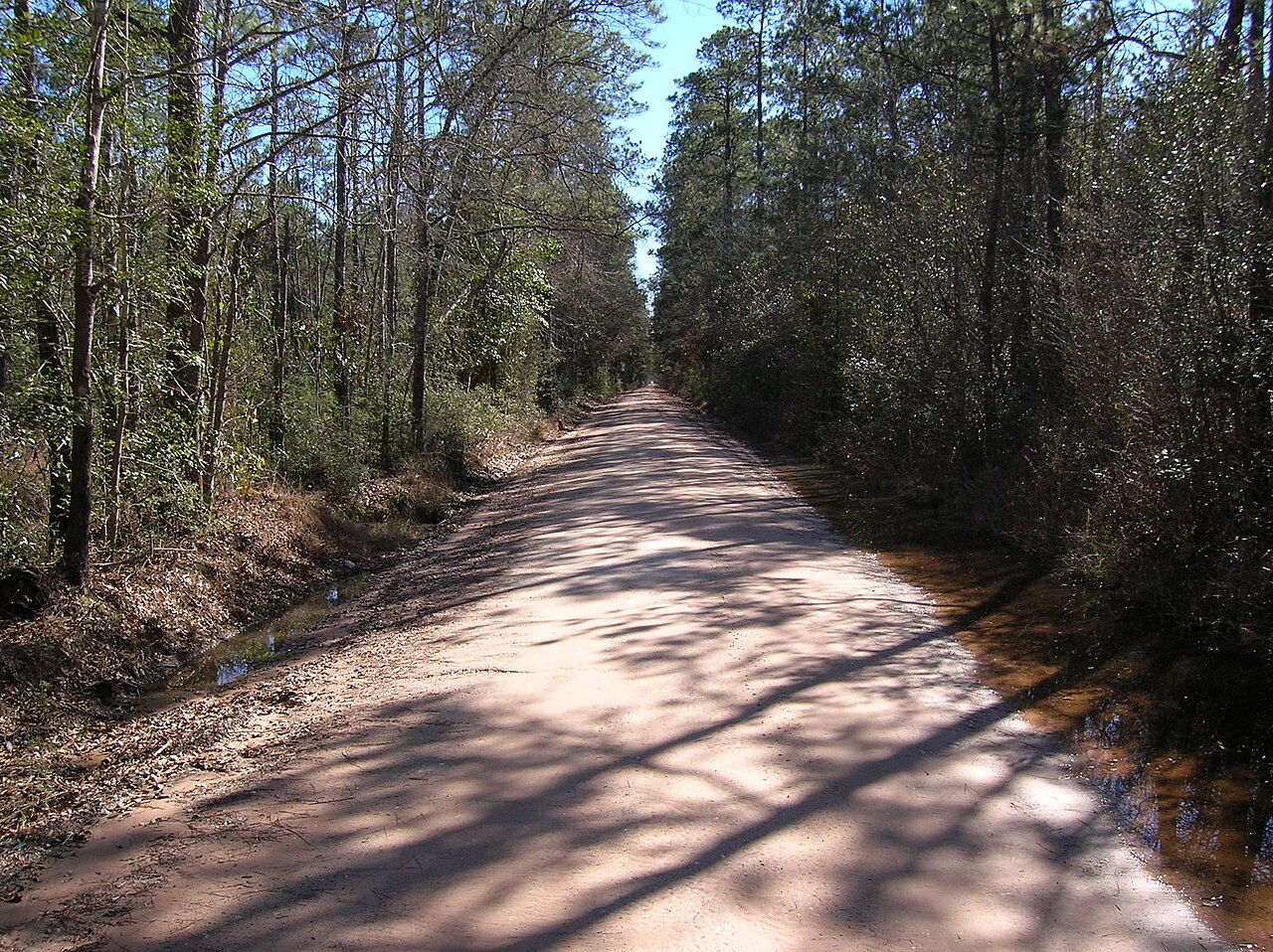 Photo of Bragg Road (Ghost Road)