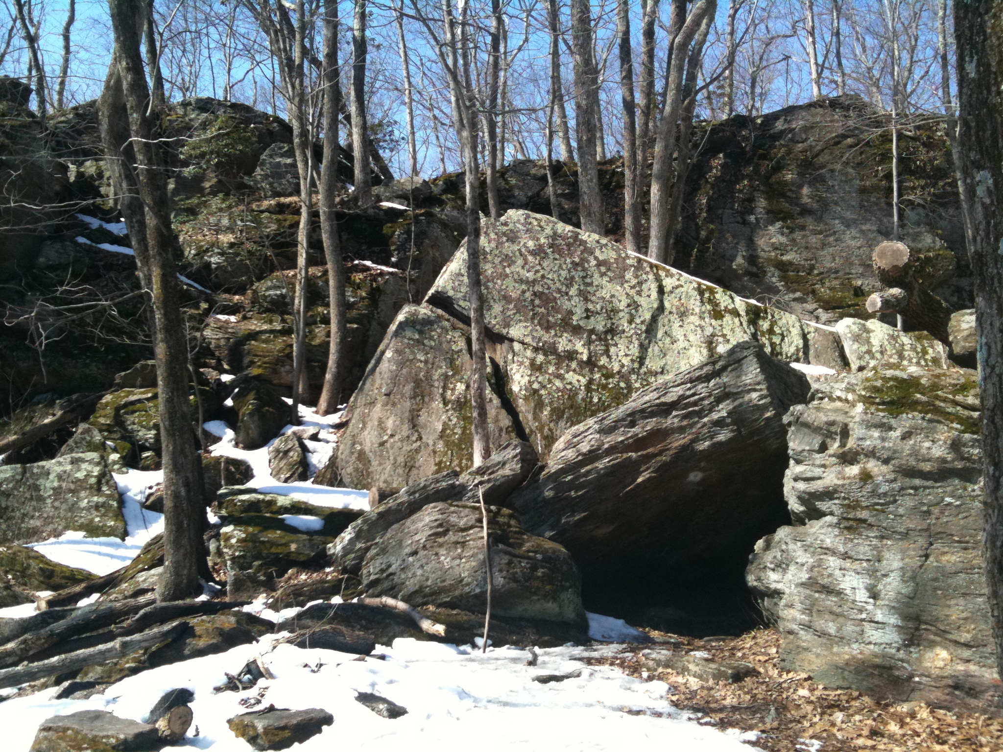 Photo of Tory Den