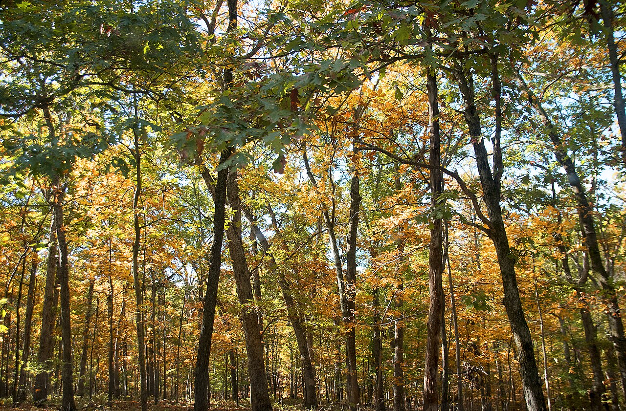 Photo of Ball's Bluff Battlefield