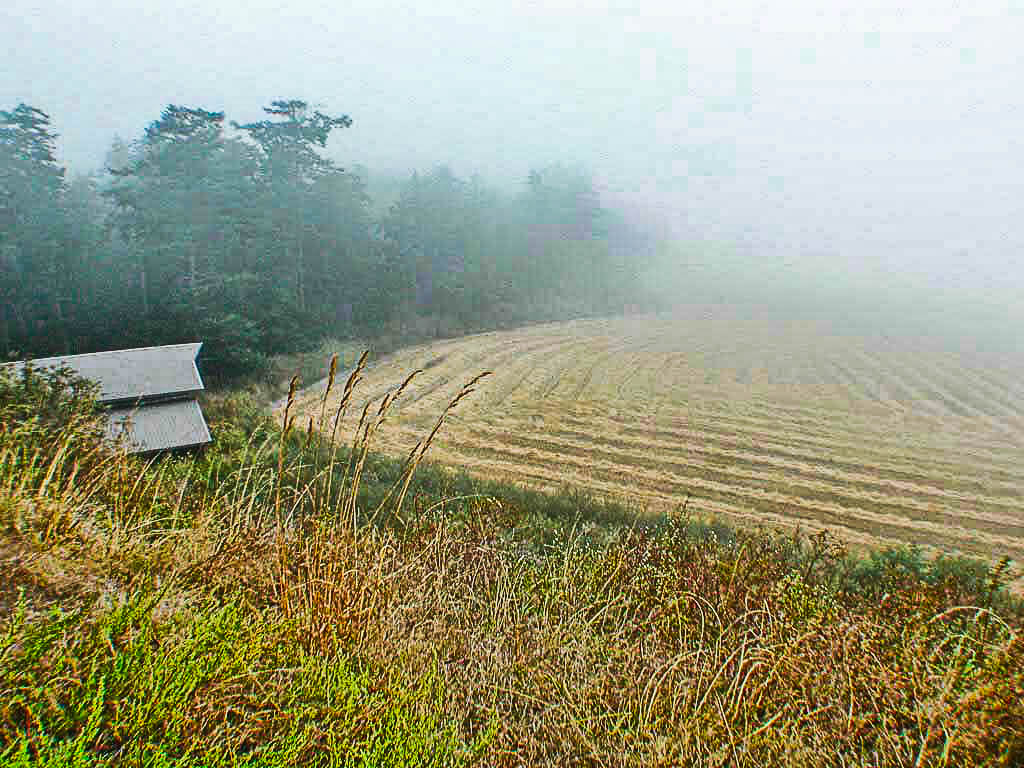 Photo of Ebey's Landing and Sunnyside Cemetery