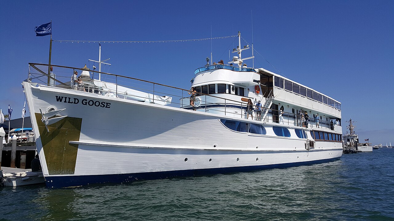 Photo of Wild Goose